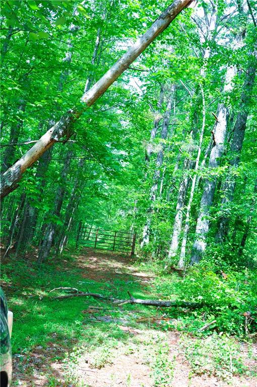 a view of lush green field