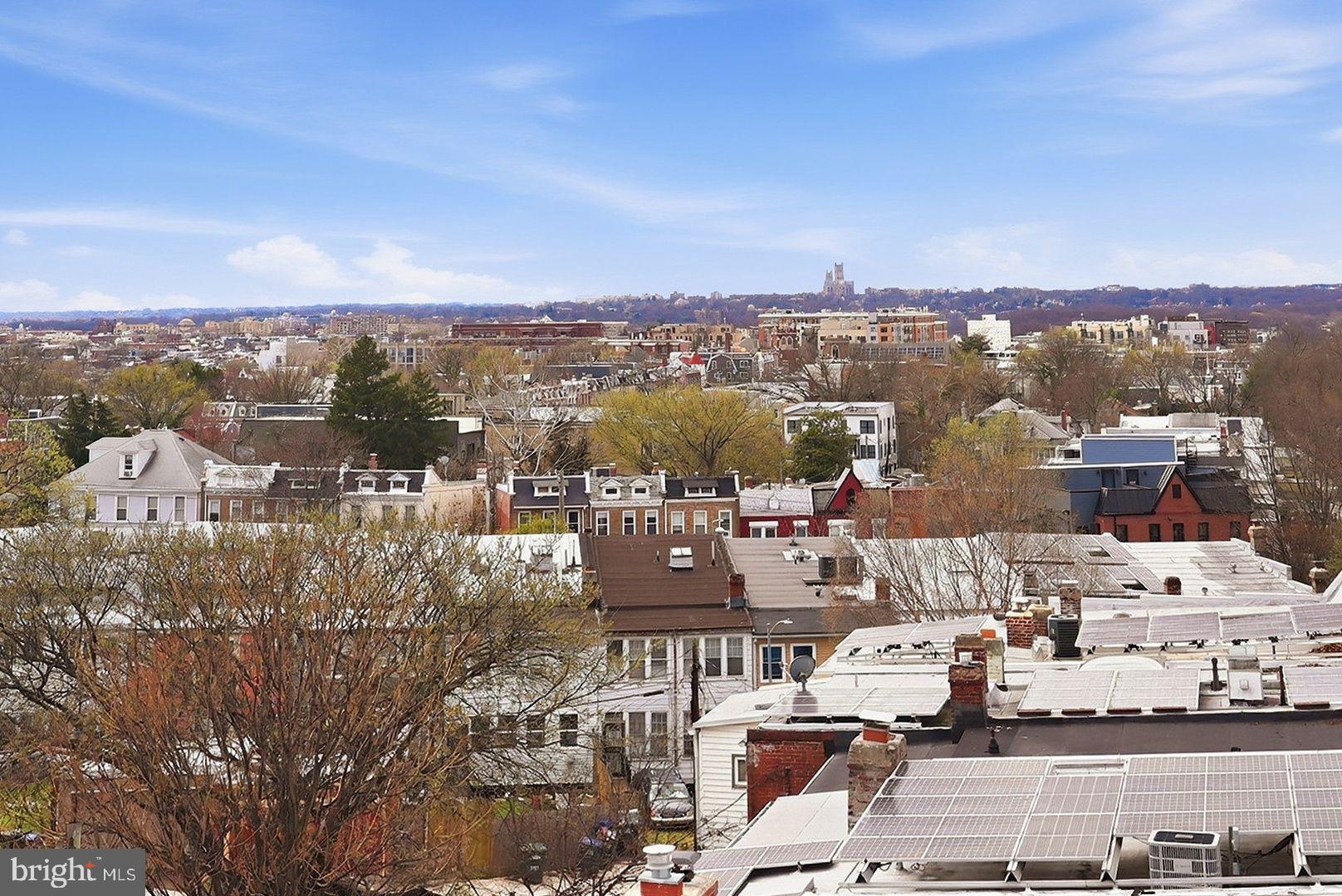 3922 3rd Street Northwest, Unit 2 Washington, DC 20011 - Photo 34 of 40 Charming skyline with lush greenery.