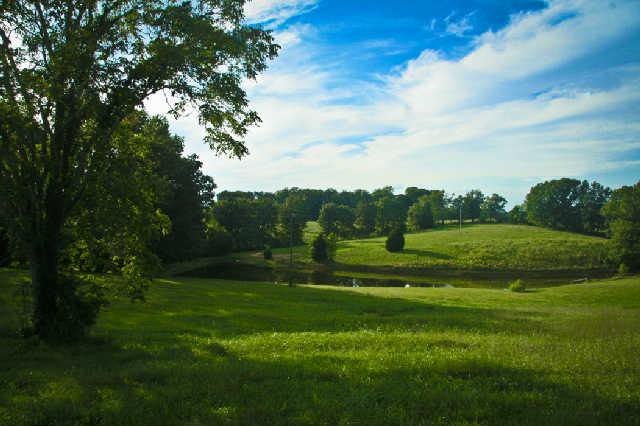 7686 Barnhill Road Primm Springs, TN 38476 - Photo 2 of 5