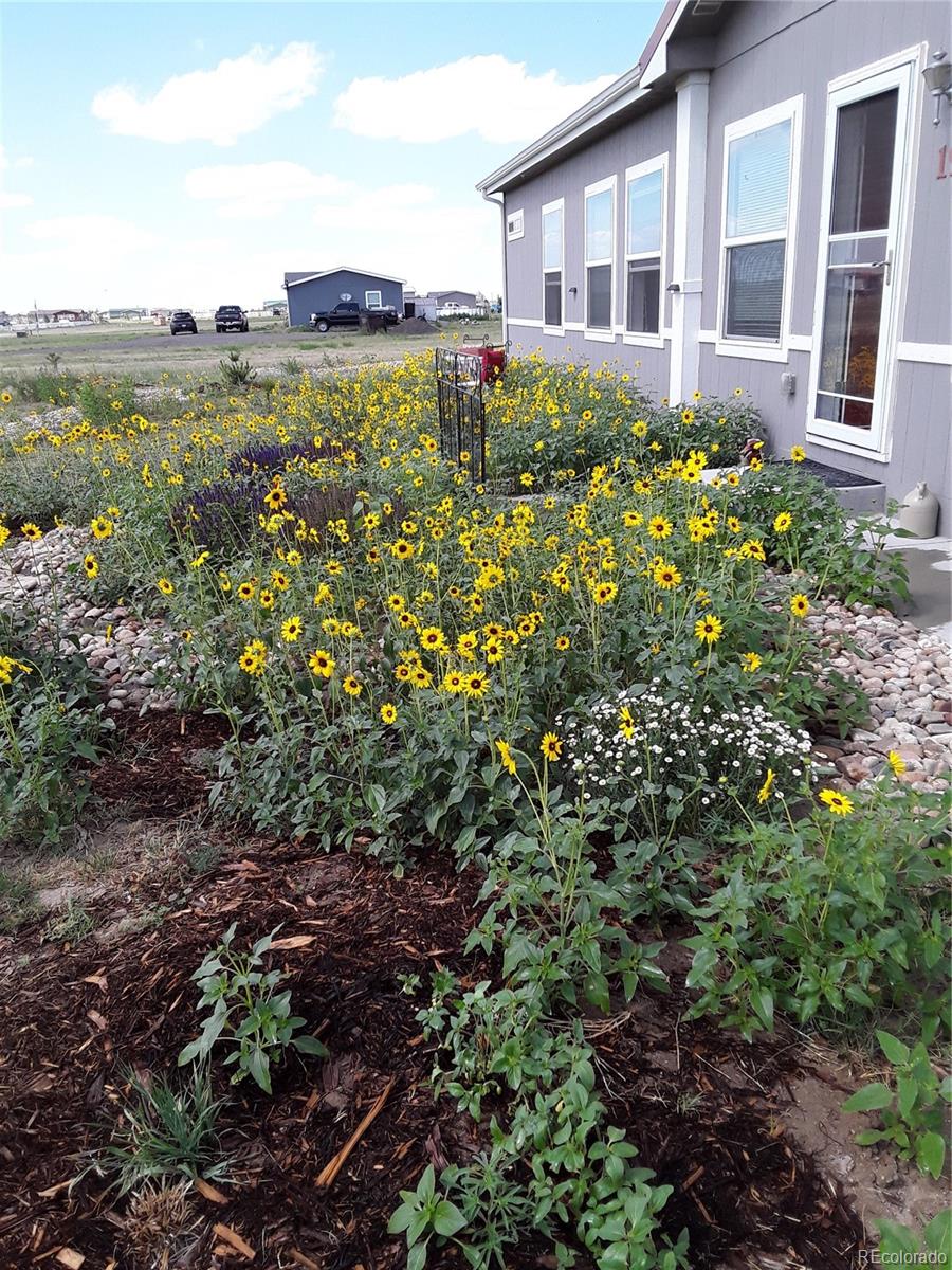 19 East Ranch Road Wiggins, CO 80654 - Photo 8 of 29 Gallery Image 8