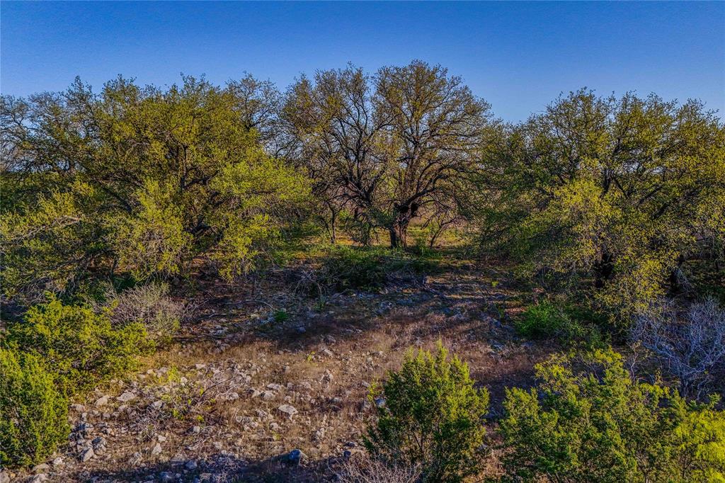 404 Valera Tx 76884 Talpa, TX 76882 - Photo 9 of 30 a view of a yard with a tree