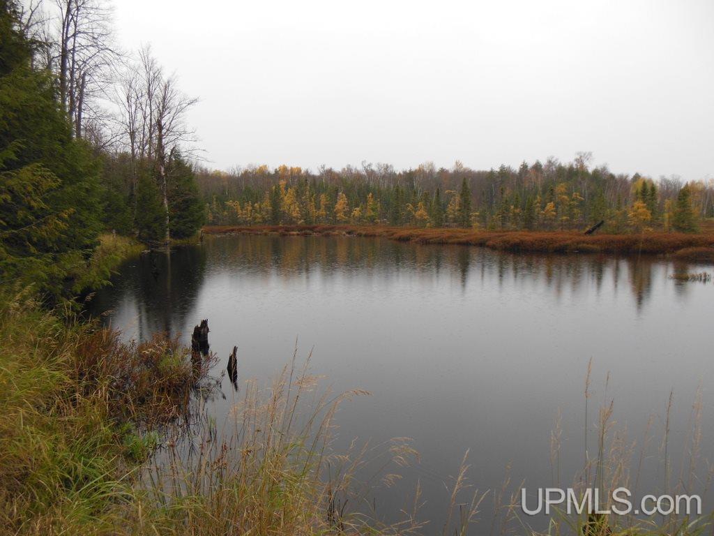 5.9-ac Off Chaney Coves Road, Unit 5 Bessemer, MI 49911 - Photo 7 of 12