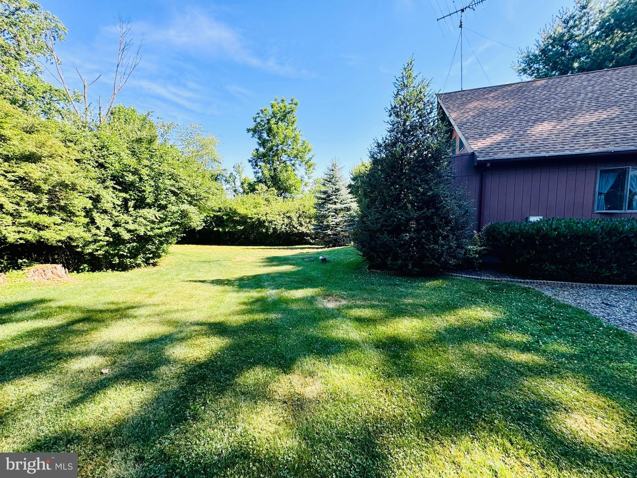 523 Texter Mountain Road Robesonia, PA 19551 - Photo 21 of 81 Rear yard left side