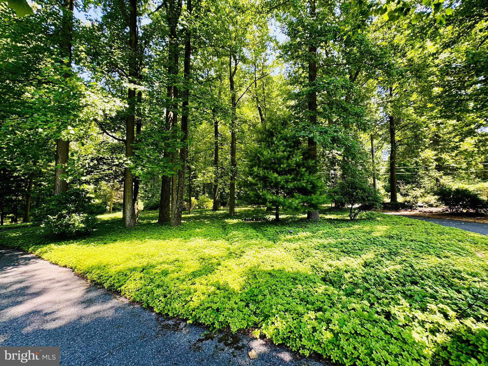 523 Texter Mountain Road Robesonia, PA 19551 - Photo 30 of 81 Right side driveway