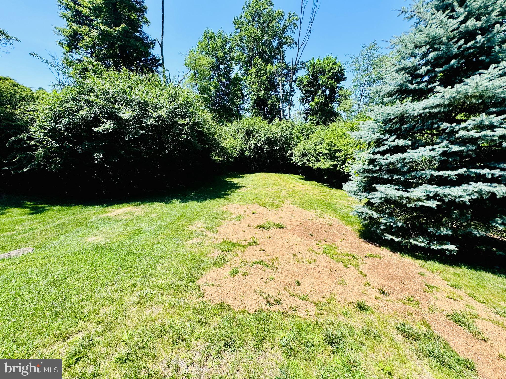 523 Texter Mountain Road Robesonia, PA 19551 - Photo 31 of 81 Rear yard