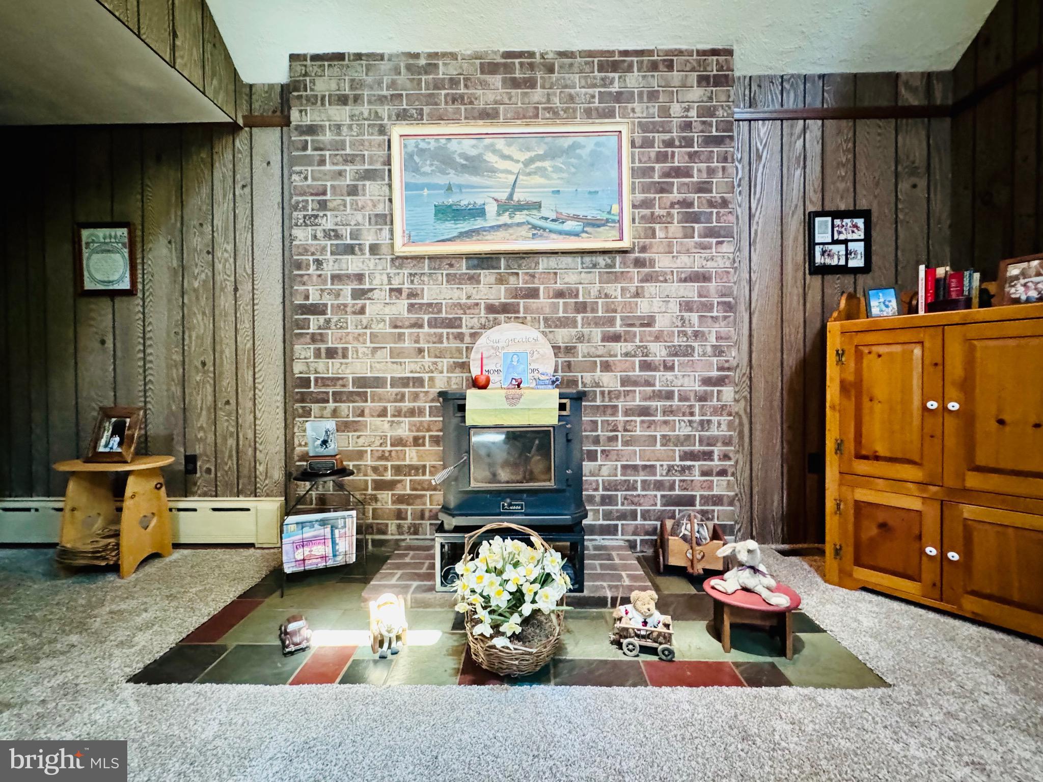 523 Texter Mountain Road Robesonia, PA 19551 - Photo 42 of 81 Living room with cath/ceiling & wood burning stove