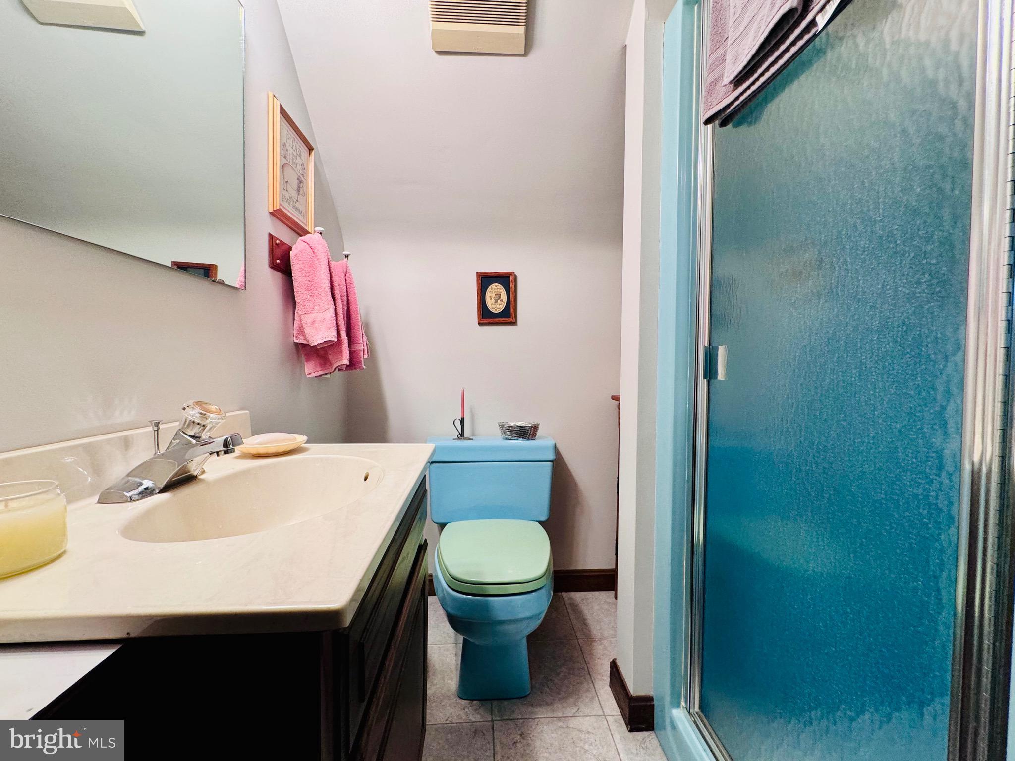523 Texter Mountain Road Robesonia, PA 19551 - Photo 69 of 81 Level 2 Bathroom 2