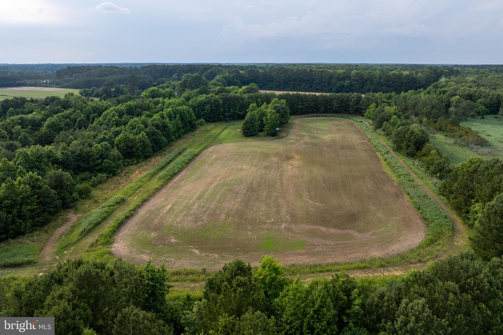 8416 Burbage Road Berlin, MD 21811 - Photo 25 of 70