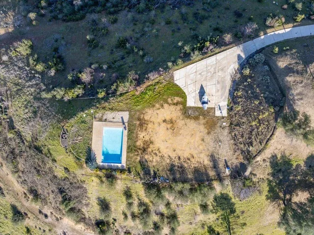 a view of a yard with plants