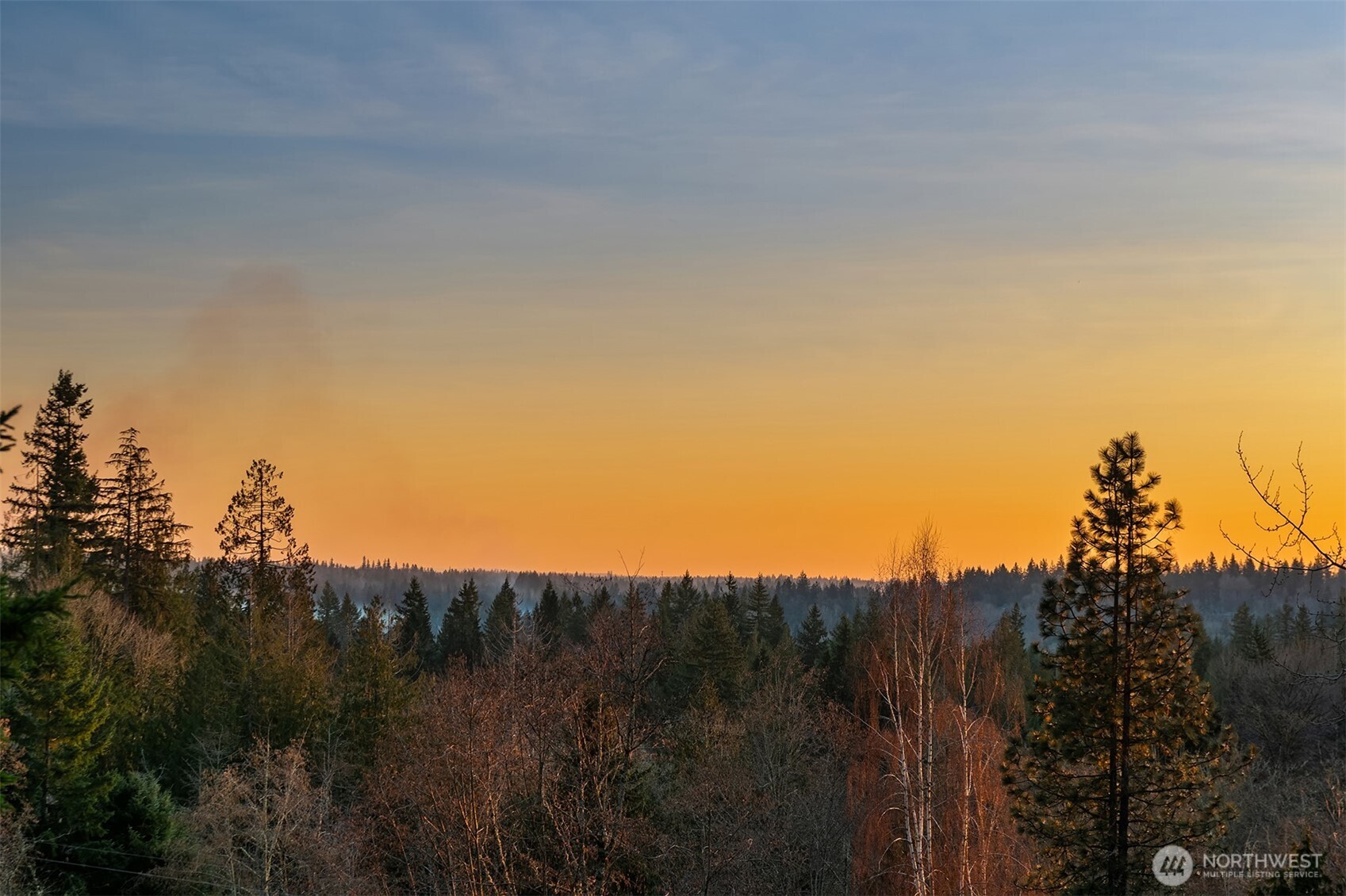 17030 Tiger Mountain Road Southeast Issaquah, WA 98027 - Photo 36 of 39