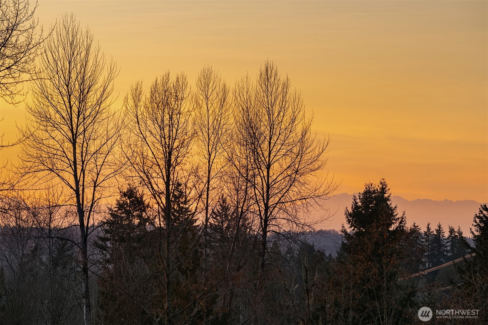 17030 Tiger Mountain Road Southeast Issaquah, WA 98027 - Photo 37 of 39