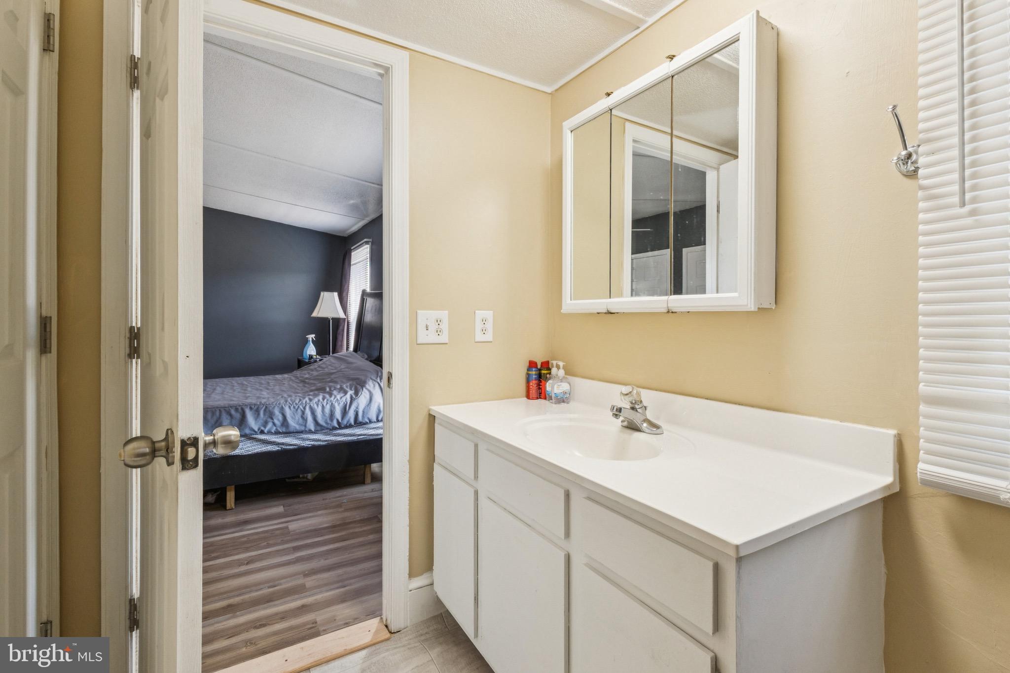 10237 Hook Road Rapidan, VA 22733 - Photo 32 of 37 a en suite bathroom with a sink and a mirror
