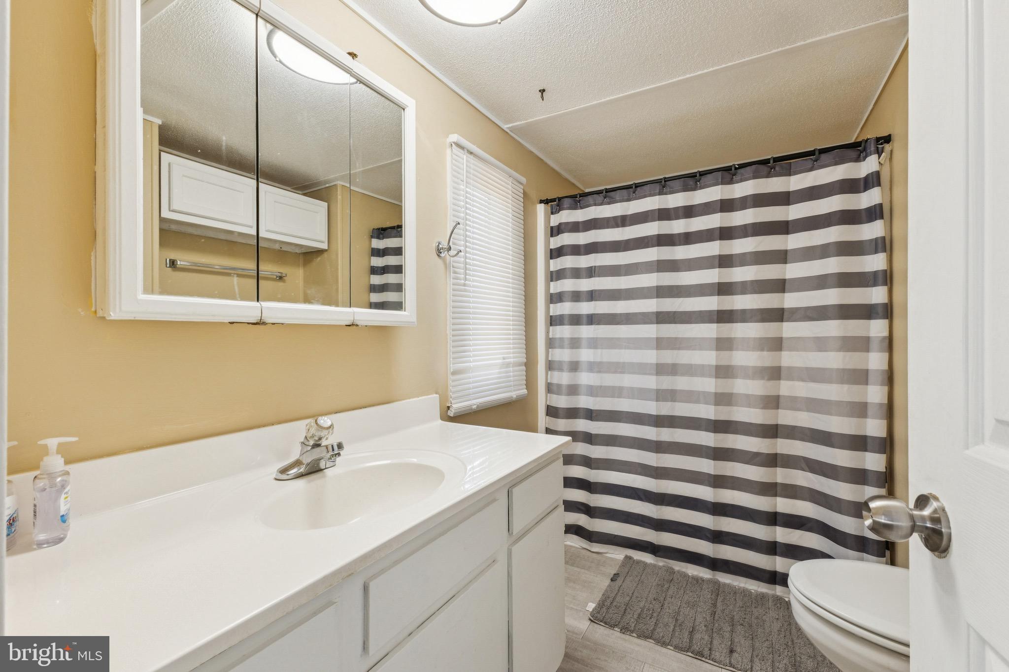 10237 Hook Road Rapidan, VA 22733 - Photo 33 of 37 a bathroom with a sink and a mirror