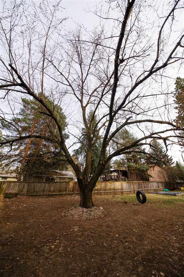 3723 South Myrtle Street Spokane, WA 99223 - Photo 15 of 16
