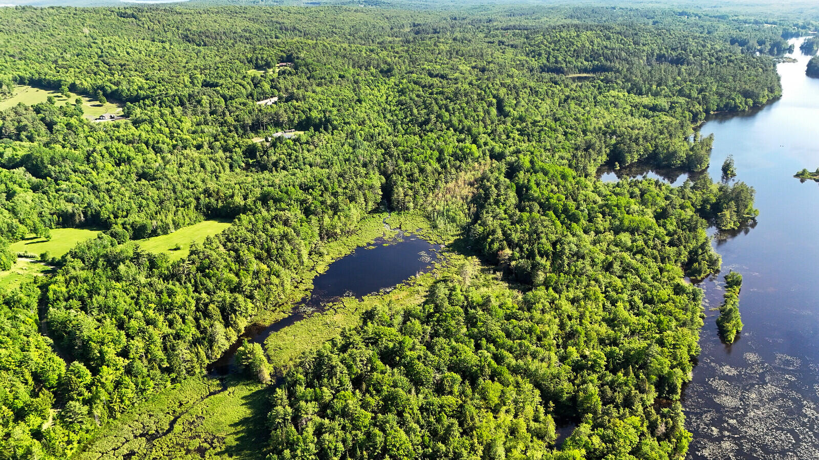 230 Beaver Ridge Road Palermo, ME 04354 - Photo 6 of 18 Aerial