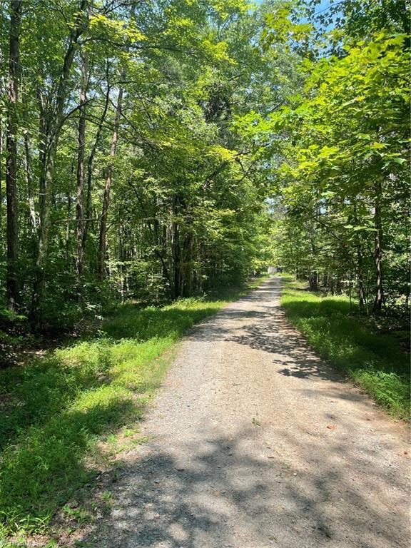 0 Murphy Road Walnut Cove, NC 27052 - Photo 3 of 12