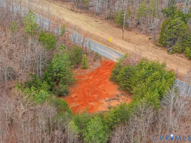 a view of a yard with plants and a bench