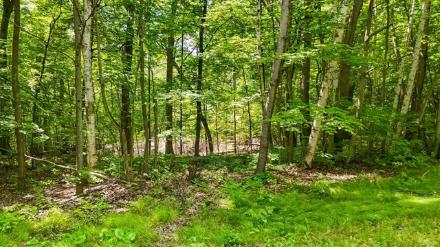 $474,900 | Tbd Lots B & C Tbd Lots B & C 389th Avenue, Aitkin, MN 56431