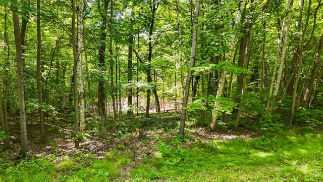 $474,900 | Tbd Lots B & C Tbd Lots B & C 389th Avenue, Aitkin, MN 56431