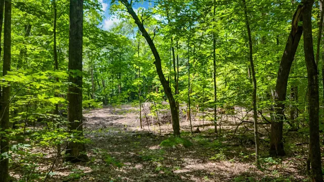 $474,900 | Tbd Lots B & C Tbd Lots B & C 389th Avenue, Aitkin, MN 56431