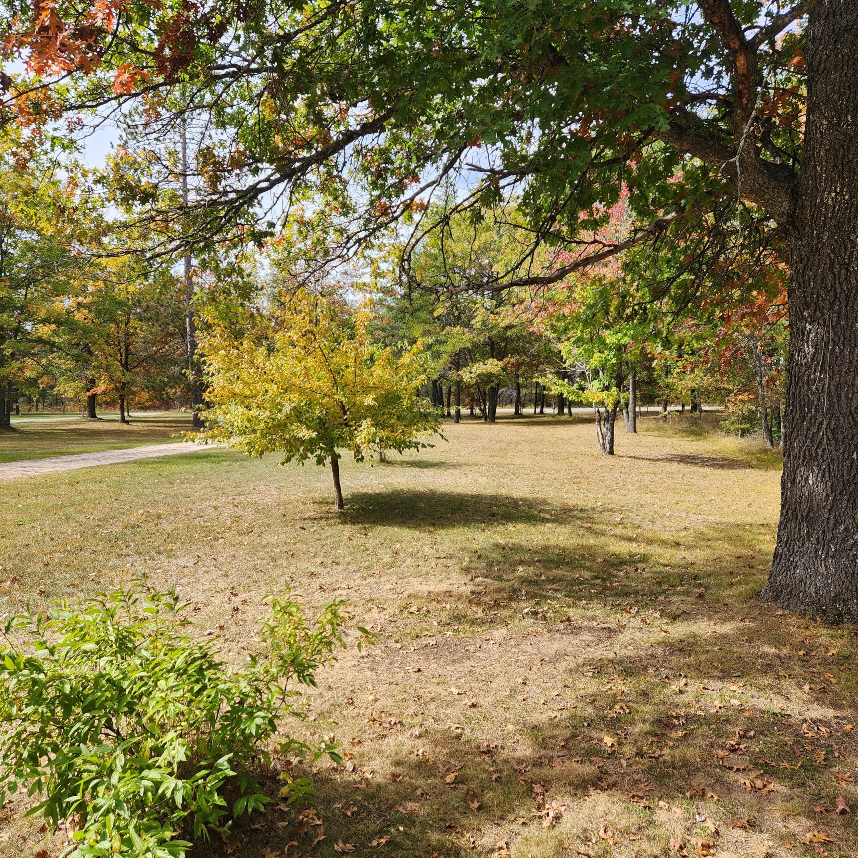 5022 Town Line Road Lewiston, MI 49756 - Photo 33 of 34 Gallery Image 33