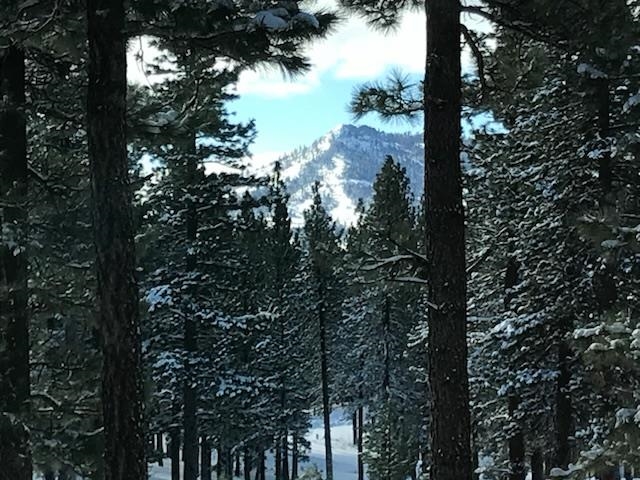 462 Arrowleaf Road Portola, CA 96122 - Photo 24 of 28