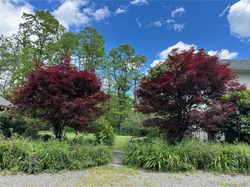 477 Canoe Hill Road Millbrook, NY 12545 - Photo 3 of 11 a view of a house with a backyard