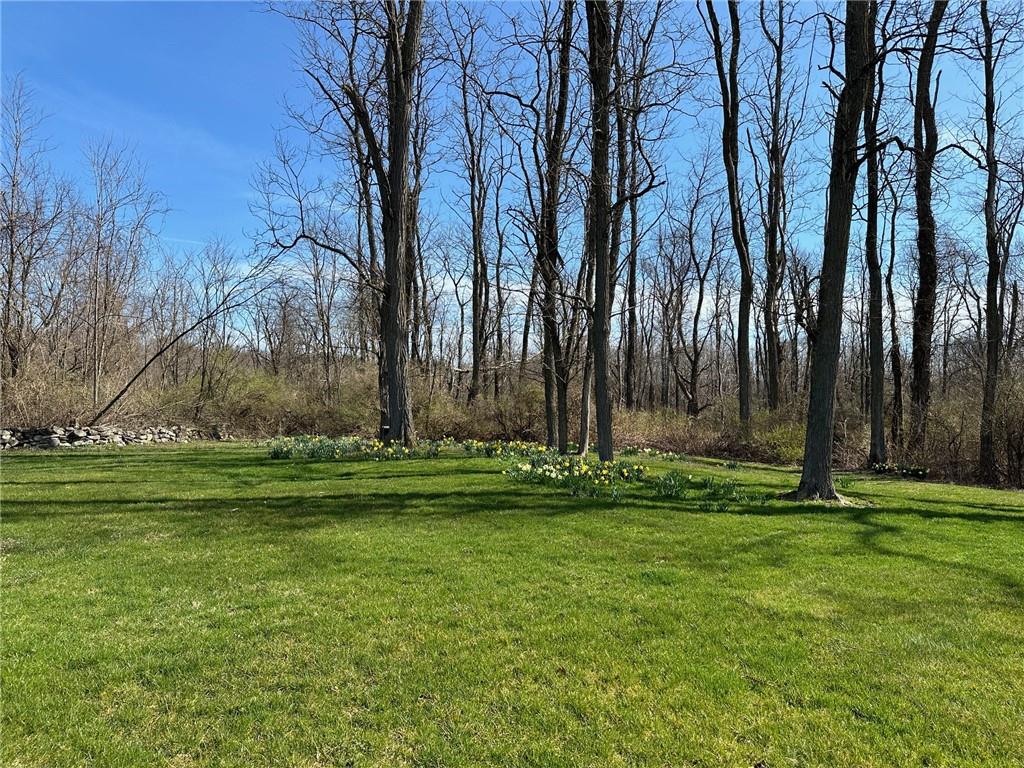 477 Canoe Hill Road Millbrook, NY 12545 - Photo 5 of 11 View of yard