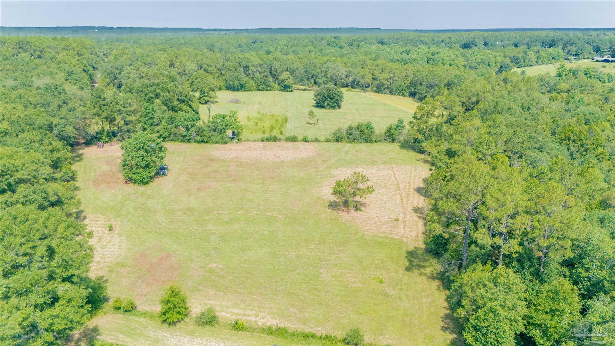 1400 Jacks Branch Road Cantonment, FL 32533 - Photo 7 of 18