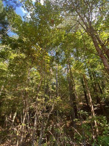 4 Athens Road Calhoun, TN 37309 - Photo 8 of 17