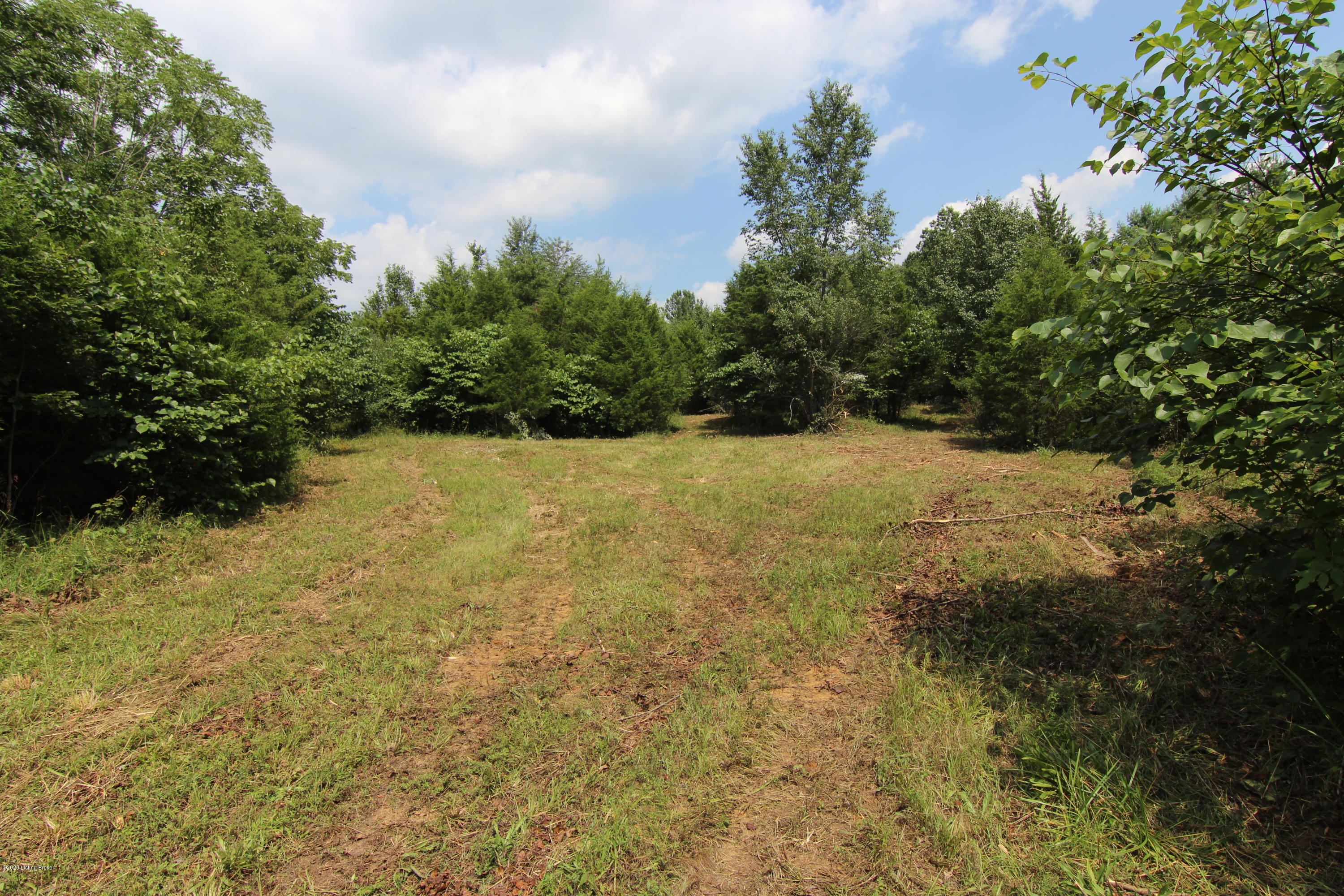 9303 Reamers Road Pewee Valley, KY 40056 - Photo 6 of 26 IMG_0890