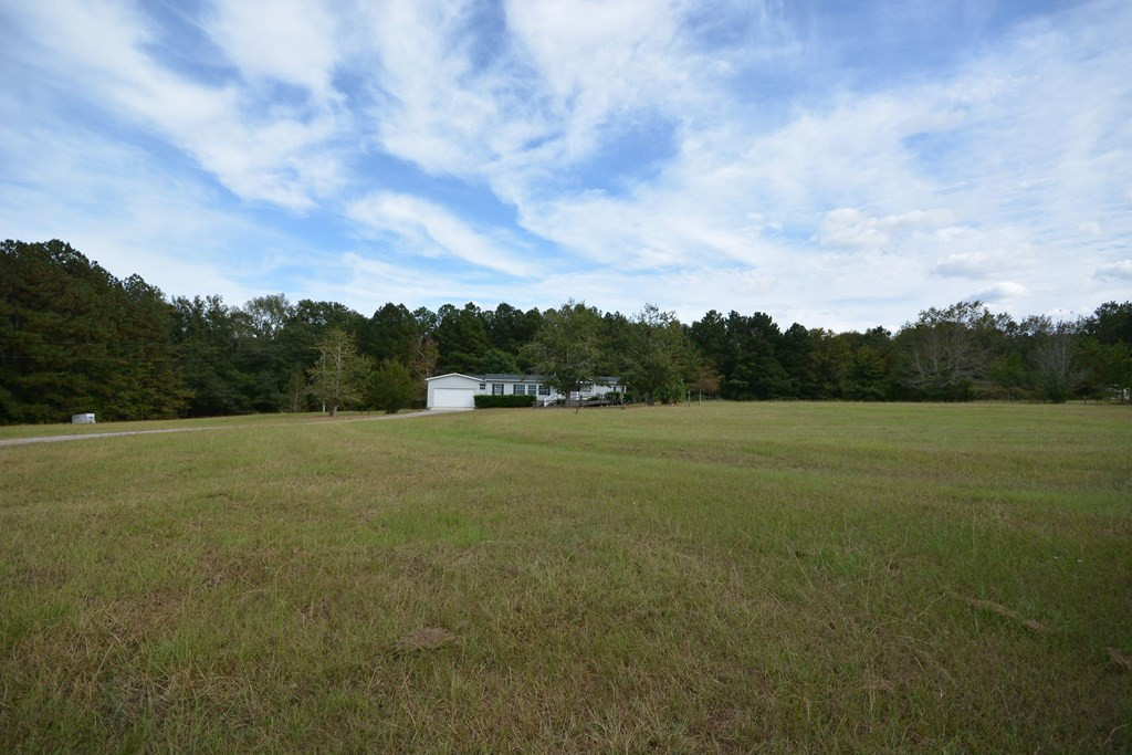 3283 White Tiger Road Appling, GA 30802 - Photo 34 of 55