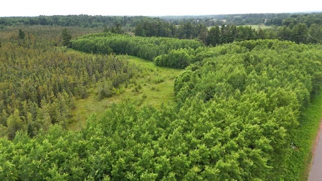 6565 Lynch Bridge Road Siren, WI 54872 - Photo 59 of 60