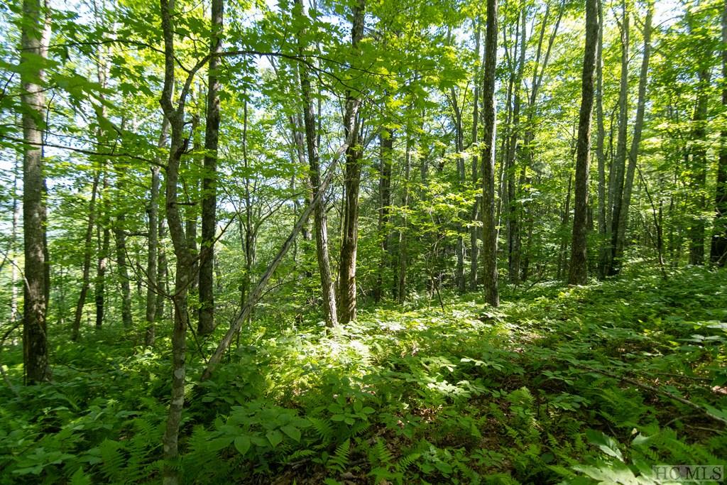 Lot 7 East Ridge Road Cashiers, NC 28717 - Photo 6 of 11 Gallery Image 6