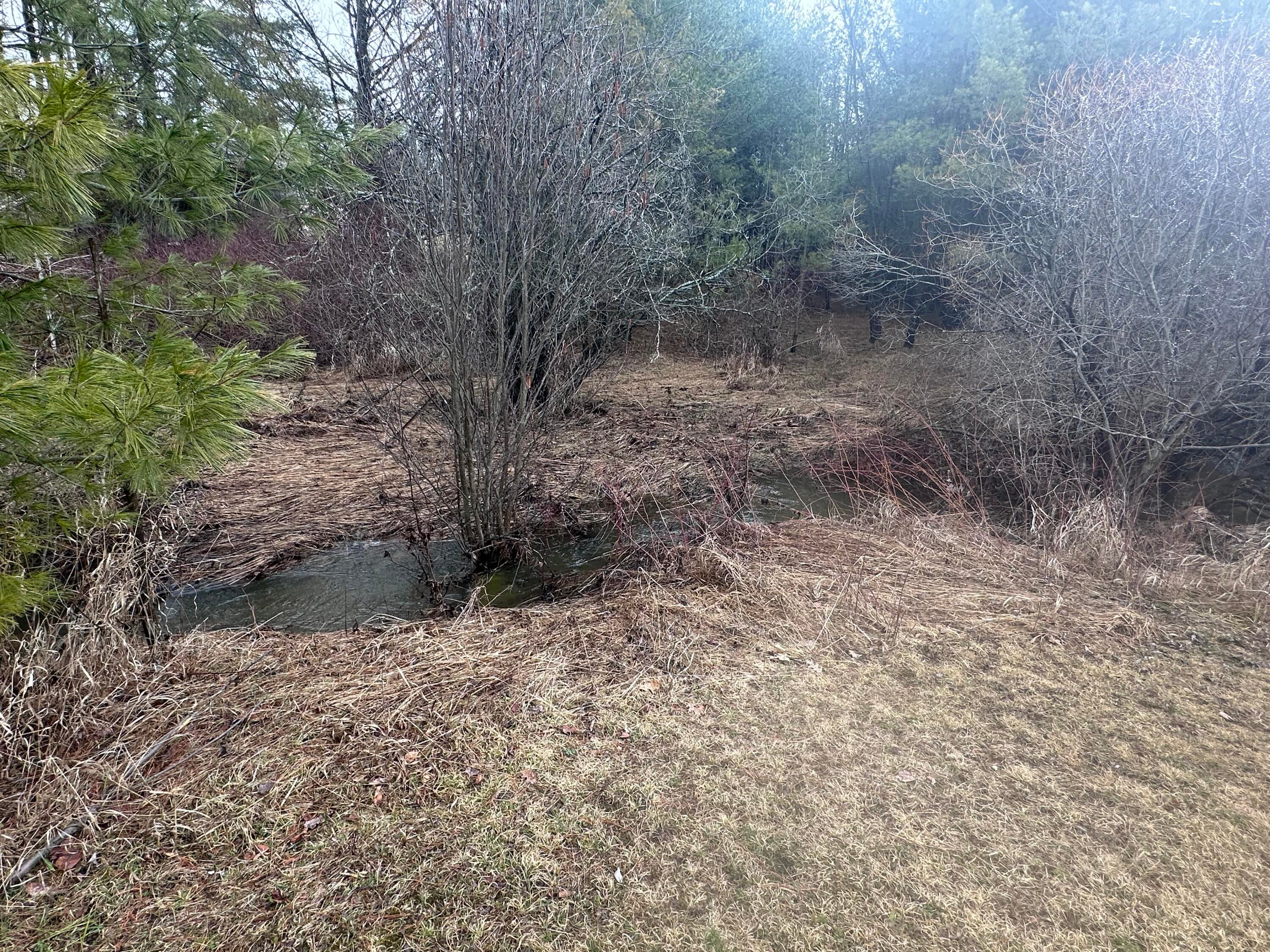 1932 Knepp Road Fairview, MI 48621 - Photo 25 of 36 IMG_3187