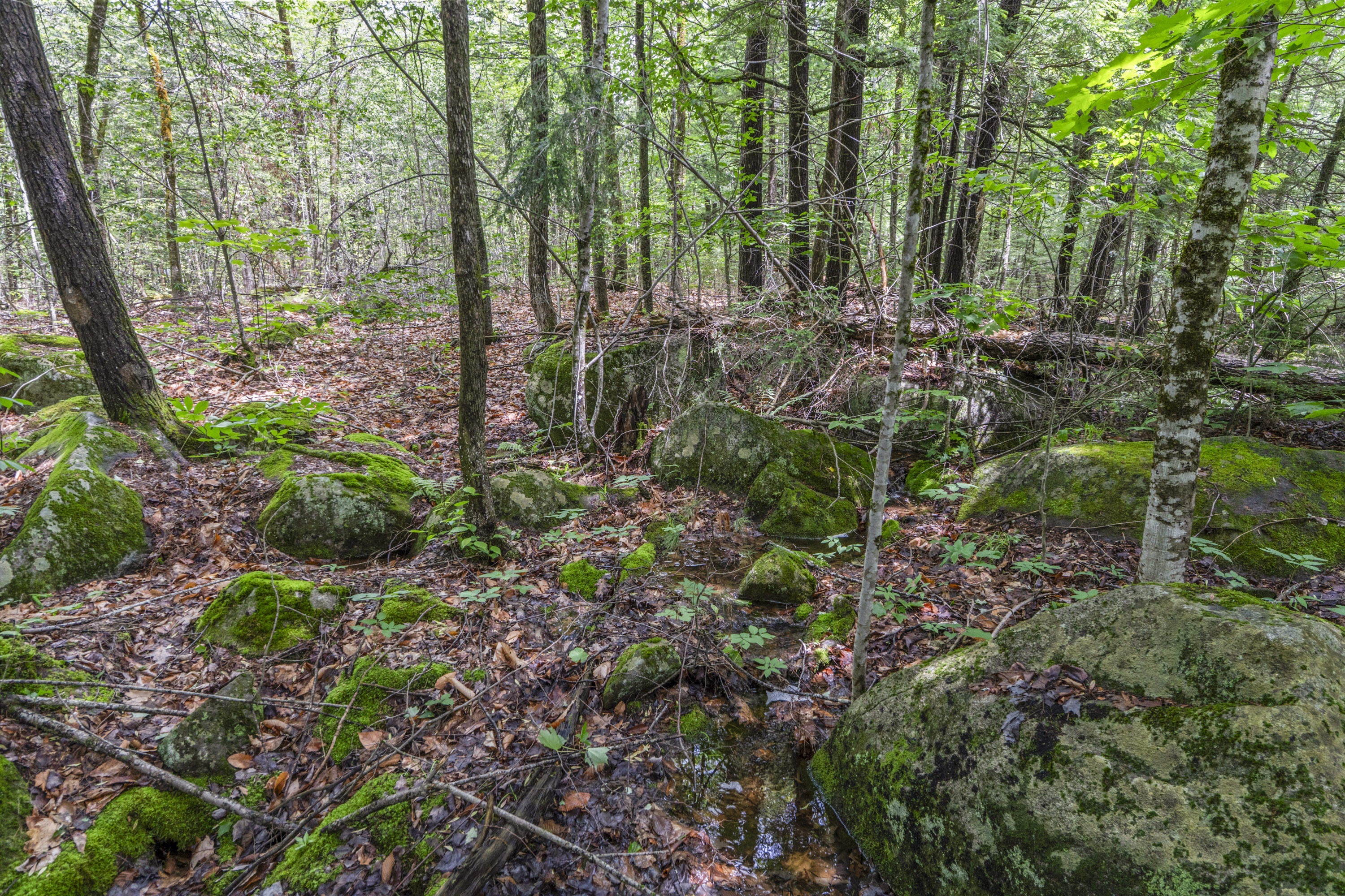 Lot17-30-1 Howland Hill Road Belgrade, ME 04917 - Photo 28 of 31