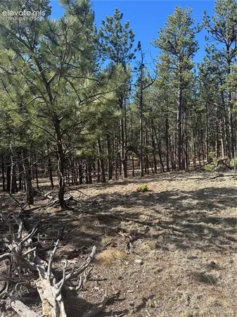 a view of outdoor space with trees