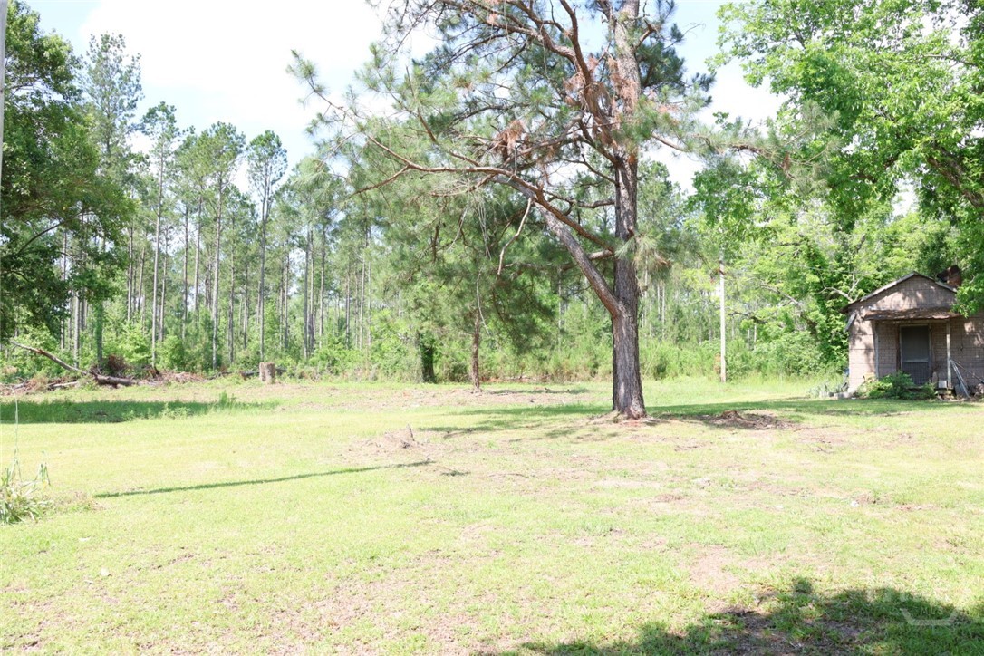 3276 Perkins Hilltonia Road Millen, GA 30442 - Photo 20 of 21