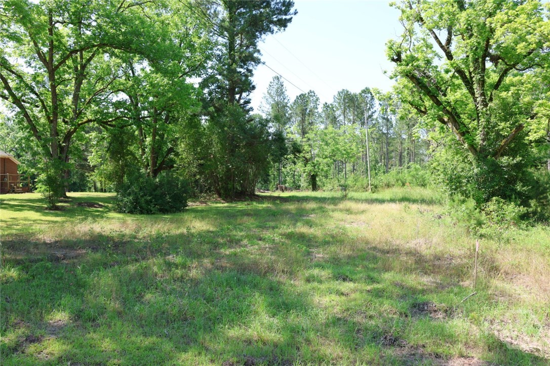 3276 Perkins Hilltonia Road Millen, GA 30442 - Photo 5 of 21