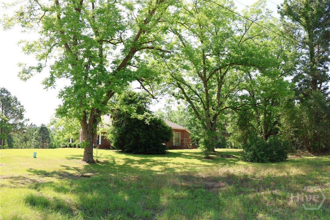 3276 Perkins Hilltonia Road Millen, GA 30442 - Photo 6 of 21