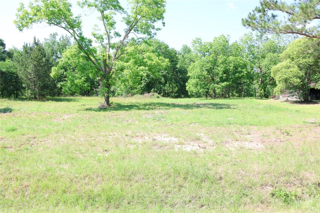 3276 Perkins Hilltonia Road Millen, GA 30442 - Photo 8 of 21