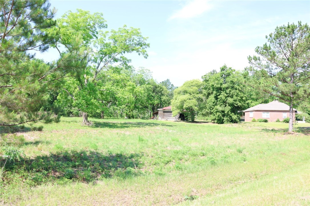 3276 Perkins Hilltonia Road Millen, GA 30442 - Photo 9 of 21