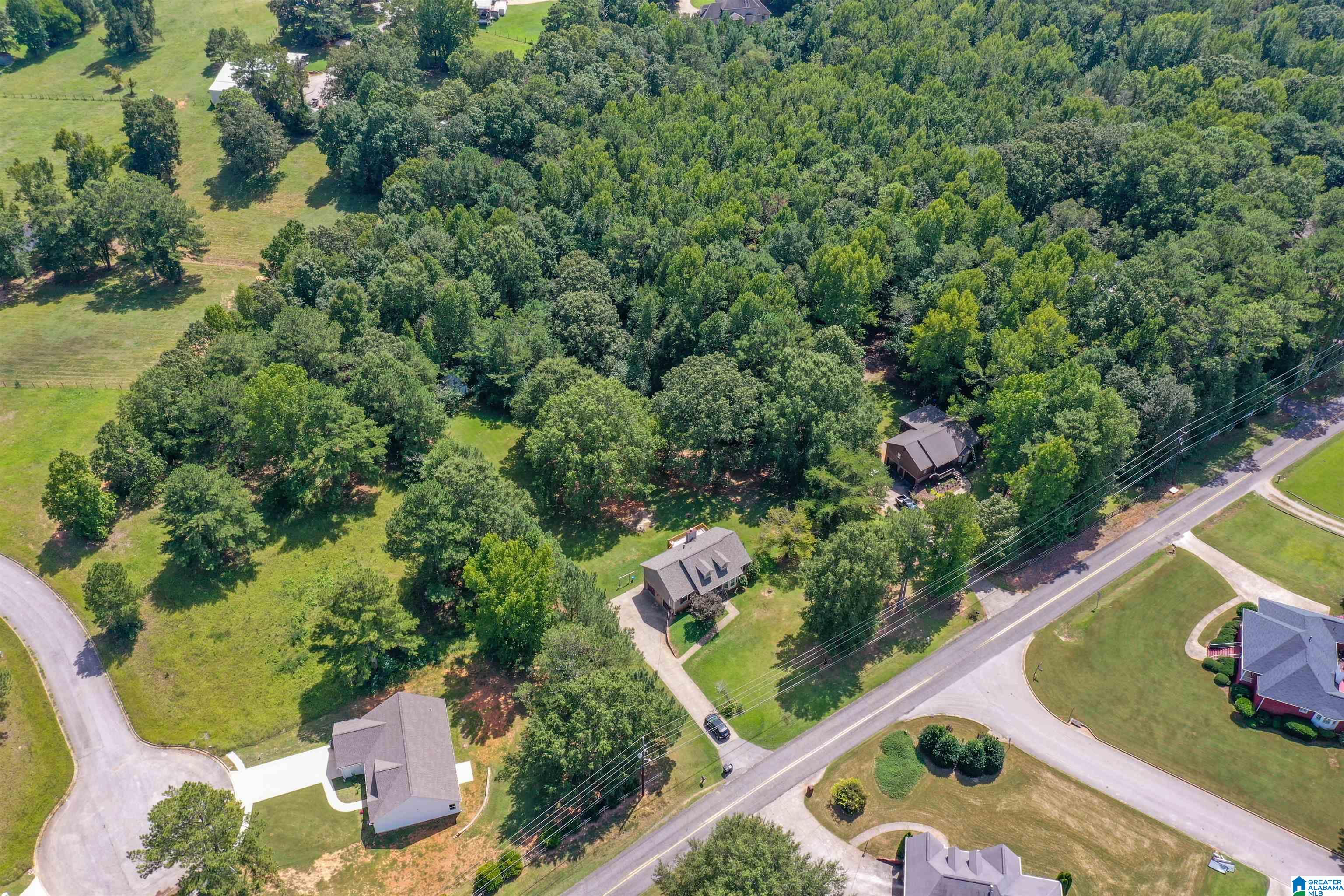 7683 Clayton Road Pinson, AL 35126 - Photo 44 of 53