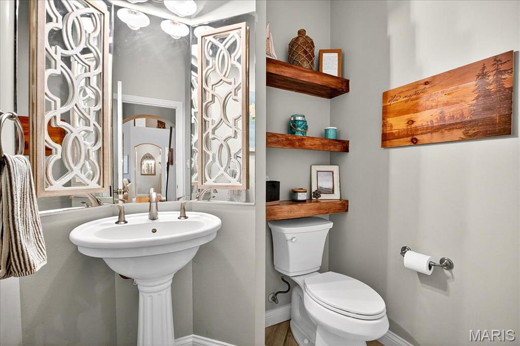 1516 Redbriar Drive High Ridge, MO 63049 - Photo 20 of 57