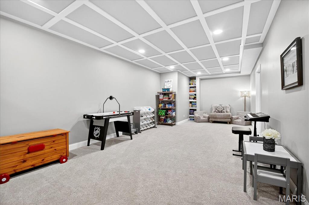 1516 Redbriar Drive High Ridge, MO 63049 - Photo 29 of 57