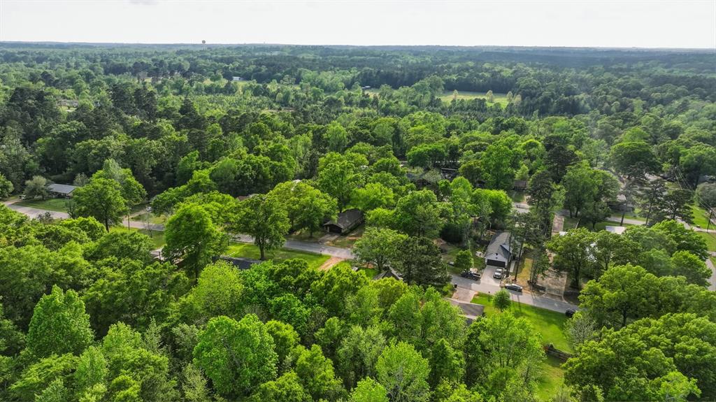 10203 Crestview Drive Tyler, TX 75707 - Photo 25 of 25 a view of a lush green forest with trees and some houses