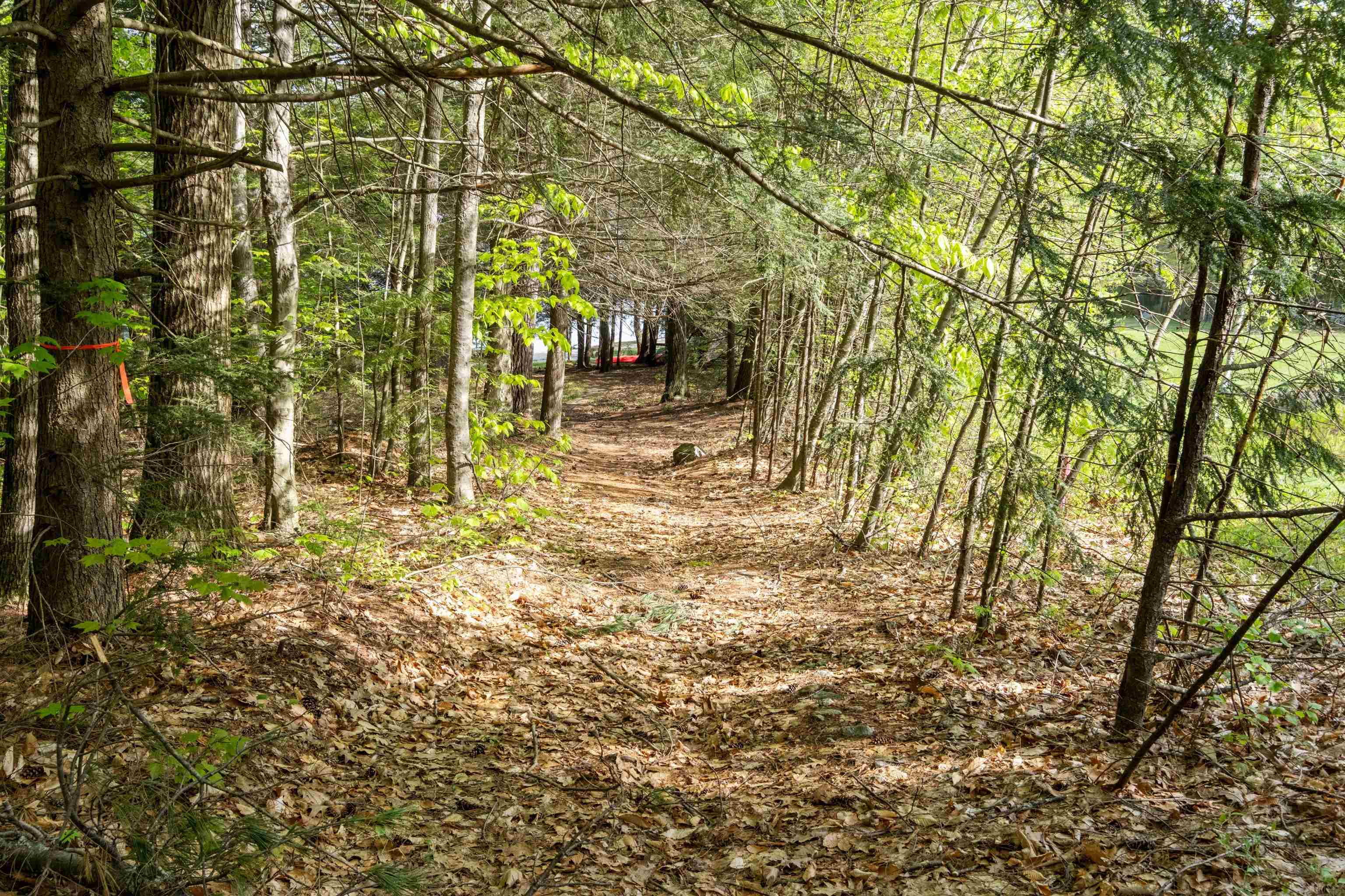 42 White Birch Point Road Antrim, NH 03440 - Photo 26 of 39
