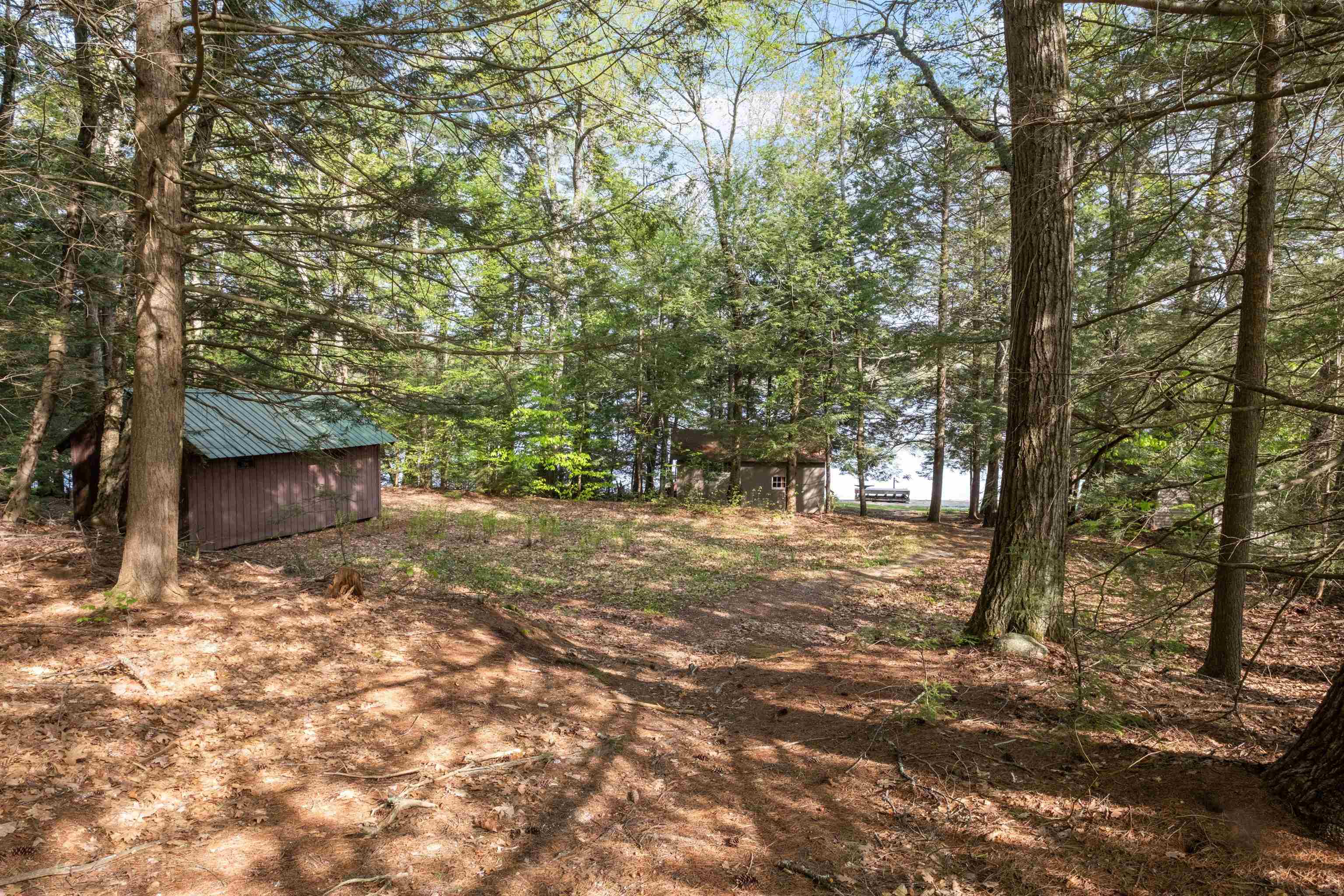 42 White Birch Point Road Antrim, NH 03440 - Photo 27 of 39