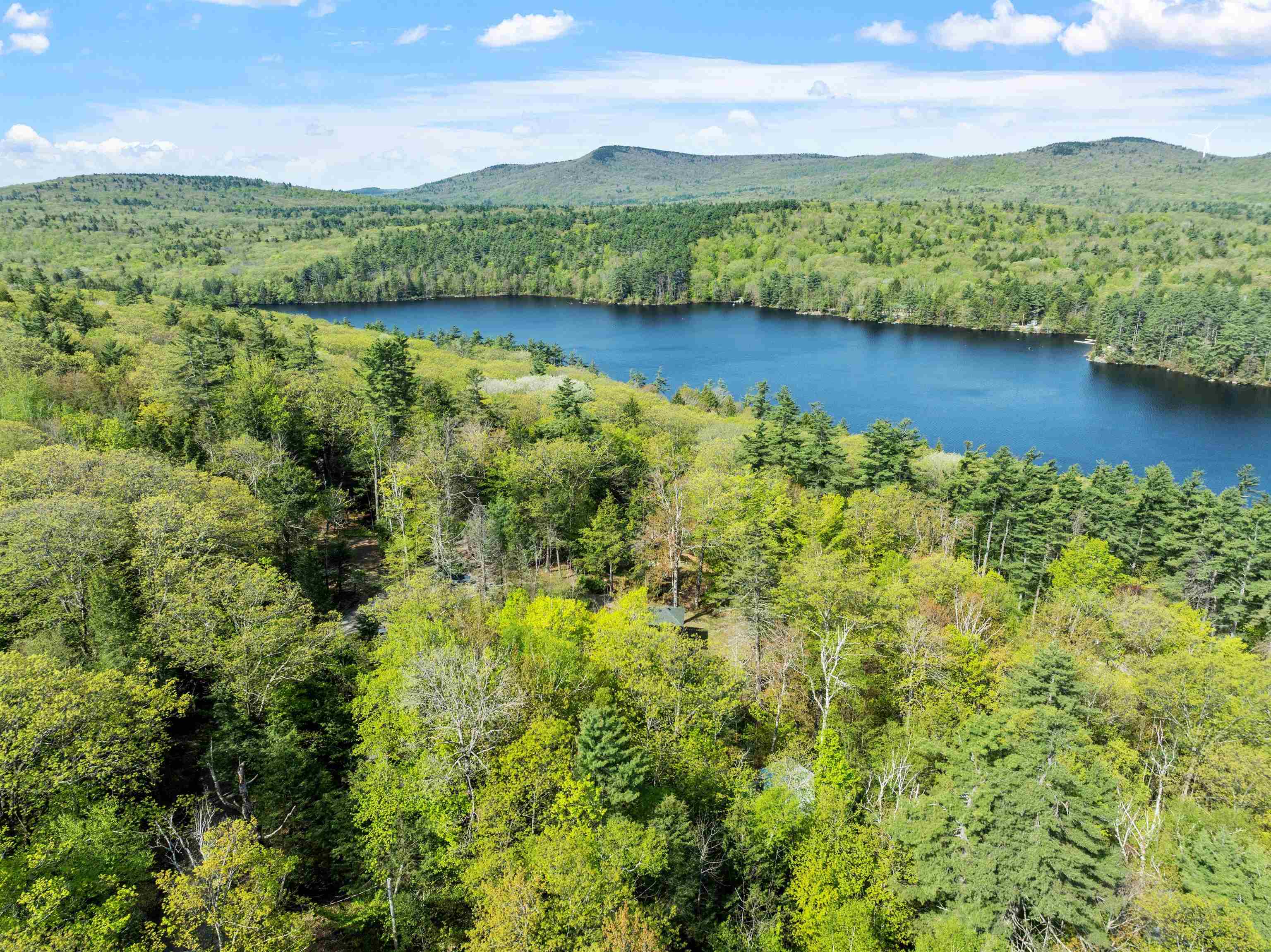 42 White Birch Point Road Antrim, NH 03440 - Photo 39 of 39