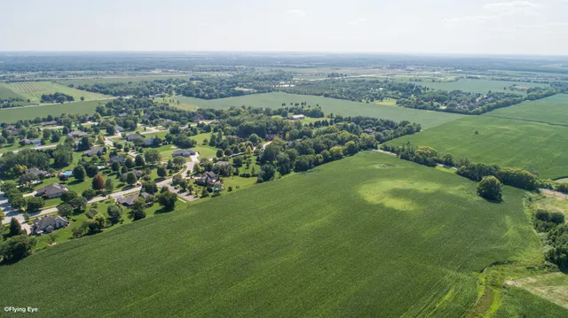 an aerial view of field with trees